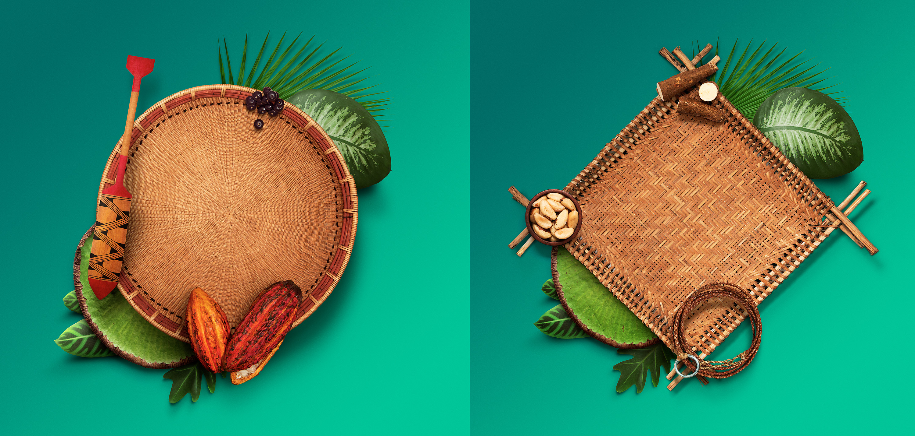 Cliente JBS - Campanha Fundo JBS pela Amazônia - Agência WMcCann
